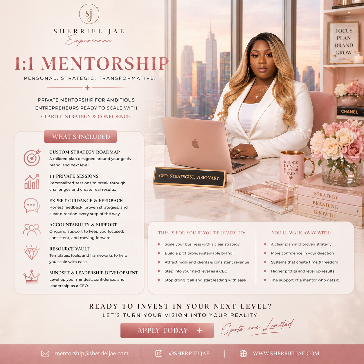 1:1 Mentorship
